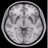 problem Icon